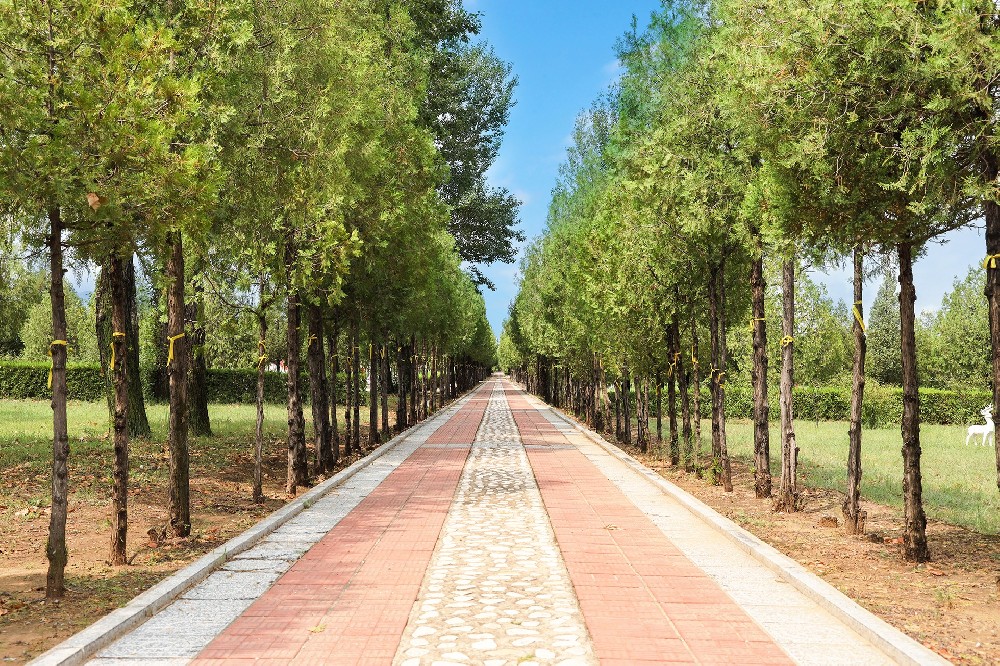 中华永久陵园环境位置 - 京南生态与人文交融的安息圣地